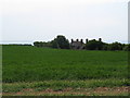 Balsdean cottages