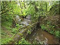 Stream below Mill Ennis