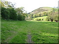 Meadows near Moelfre