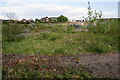 Derelict site off Pudding Lane