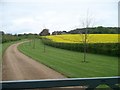 Driveway to Kingham Hill House