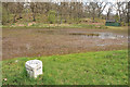 Breadalbane and Killin Curling Club ponds