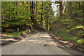 Road from Stroneslaney to Strathyre