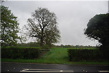 TQ1829 : Gate off the A281 by N Chadwick