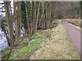 Clyde Walkway in the Spring