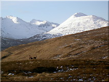 NN2361 : Garbh Bheinn and Sron Gharbh from the slopes of the River Leven by Alan Reid