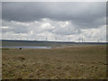 Wind farm near Eaglesham