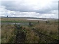 Fence at the Eaglesham to Kingswell road