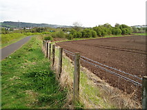 NS4163 : Fence Line by Gordon Dowie