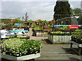 Walkways at Hilliers Garden Centre