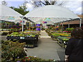 Plant stands at Wyevale Garden Centre