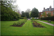 TQ1730 : Formal Garden, Horsham Park by N Chadwick