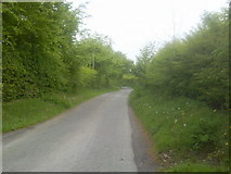 N9446 : Country Road, Co Meath by C O'Flanagan