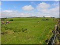 Castletown townland