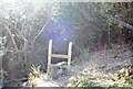 Stile entering a woodland on the 1066 Country Walk