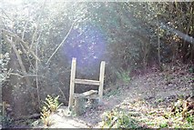 TQ8512 : Stile entering a woodland on the 1066 Country Walk by N Chadwick