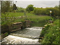 River Eden Weir