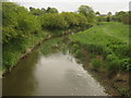 River Eden flowing towards Delaware Farm