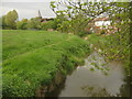 River Eden flowing from Edenbridge