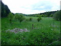 North Tidworth - Farmland