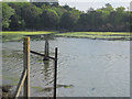 Lymington River by B3054 bridge