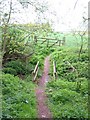 Bridge over the beck