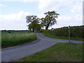 Road to Boundary Farm & the B1119 Saxmundham Road