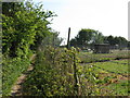 Smallholding next to footpath leading to Kingston Road