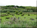 The floodplain of the River Frome