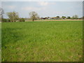 Farmland at Bradley Green