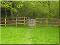 Kissing gate near Rook Birch Wood