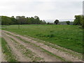 Fenced area of open land near Vining Farm