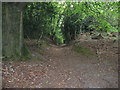 Footpath descent from Bexleyhill Common