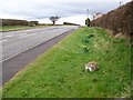 A6 and milestone, High Hesket