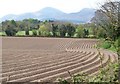 View SSW towards Carrigs River and the Mournes from Ballyginny