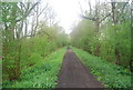 The Downs link climbs to Rudgwick