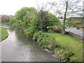 River Frome at Dorchester