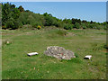 Disused tip, Bisley Ranges