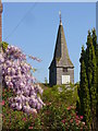 Thursley Church Spire