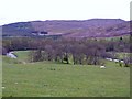 Pasture east of Park House