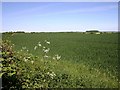 View NE from B4087 near the M40 bridge