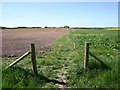 Footpath towards Warwick from Bishop