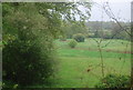 Rural view from near the Downs Link