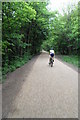 Disused railway between Monton & Worsley