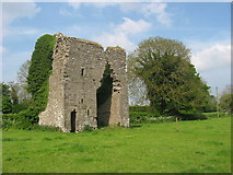 N7760 : Medieval Gatehouse at Moymet, Co. Meath by Kieran Campbell