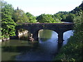 Bridge over the Taff, Heol-yr-Ynys, Gwaelod Y Garth