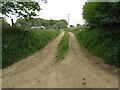 Path and track to River Wood