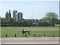 A quiet moment in the King George V Memorial Playing Fields