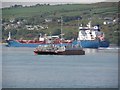 C6539 : A busy afternoon in the Foyle Estuary by Kenneth  Allen
