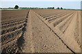 Footpath running across ploughed field